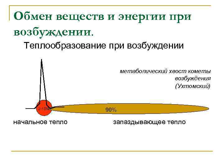 Обмен веществ и энергии при возбуждении. Теплообразование при возбуждении метаболический хвост кометы возбуждения (Ухтомский)