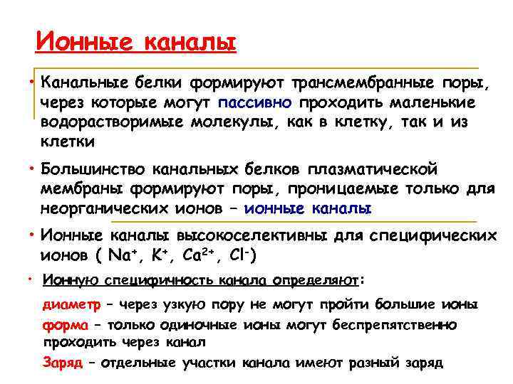 Ионные каналы • Канальные белки формируют трансмембранные поры, через которые могут пассивно проходить маленькие