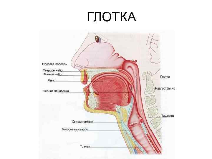 То внутри чего находится то