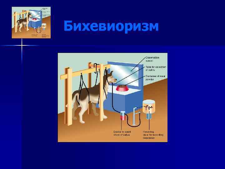 Бихевиоризм картинки для презентации