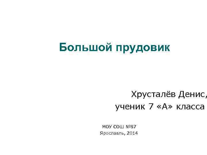 Большой прудовик Хрусталёв Денис, ученик 7 «А» класса МОУ СОШ № 87 Ярославль, 2014