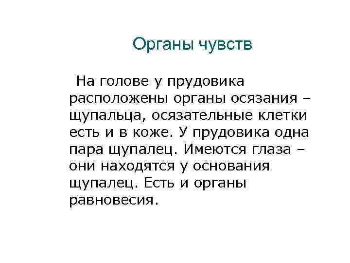 Органы чувств На голове у прудовика расположены органы осязания – щупальца, осязательные клетки есть