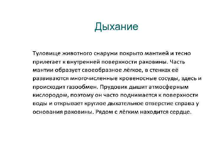 Дыхание 