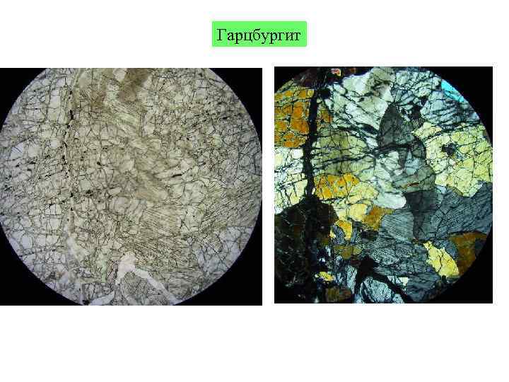 Гарцбургит 