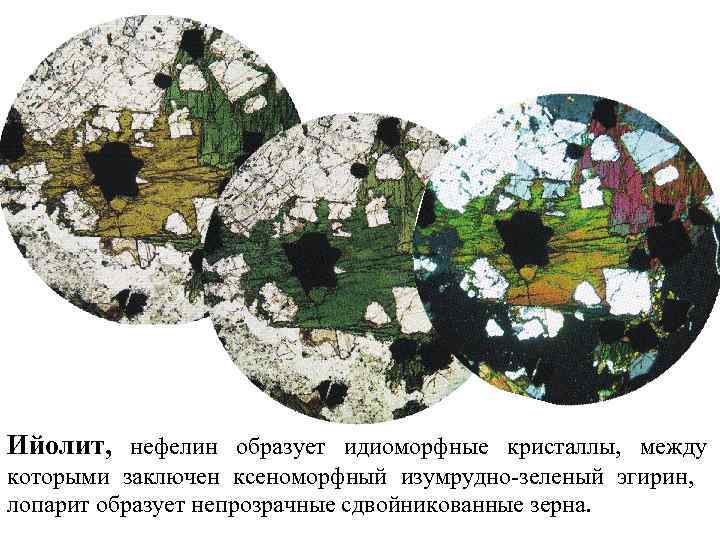 Ийолит, нефелин образует идиоморфные кристаллы, между которыми заключен ксеноморфный изумрудно-зеленый эгирин, лопарит образует непрозрачные