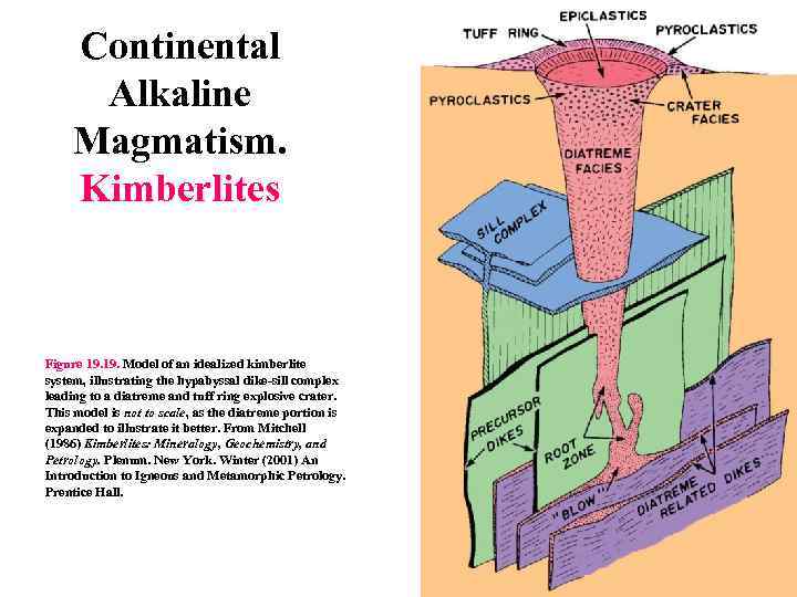 Continental Alkaline Magmatism. Kimberlites Figure 19. Model of an idealized kimberlite system, illustrating the