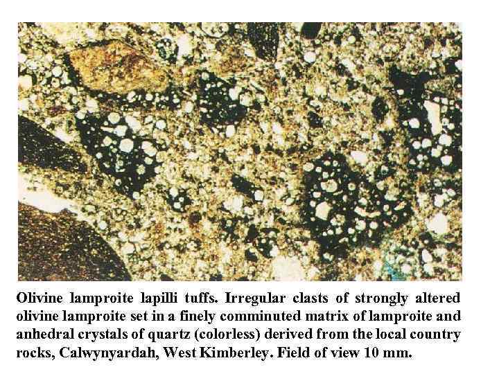 Olivine lamproite lapilli tuffs. Irregular clasts of strongly altered olivine lamproite set in a