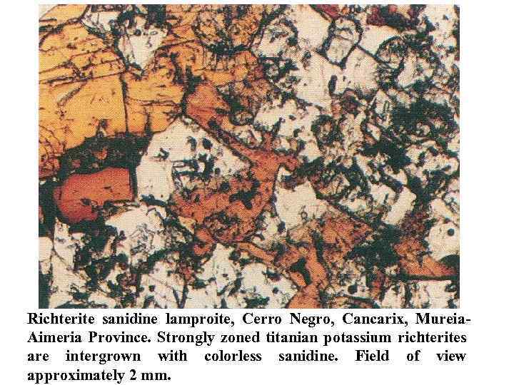 Richterite sanidine lamproite, Cerro Negro, Cancarix, Mureia Aimeria Province. Strongly zoned titanian potassium richterites