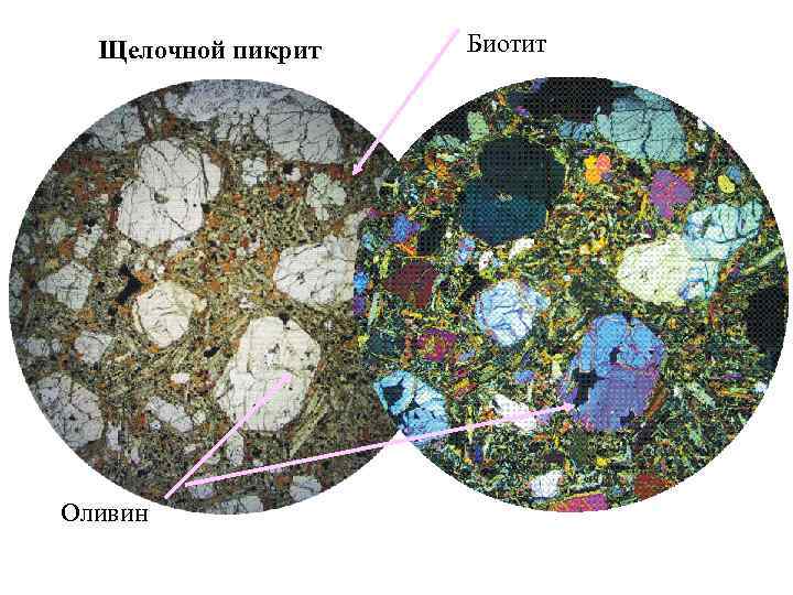 Щелочной пикрит Оливин Биотит 