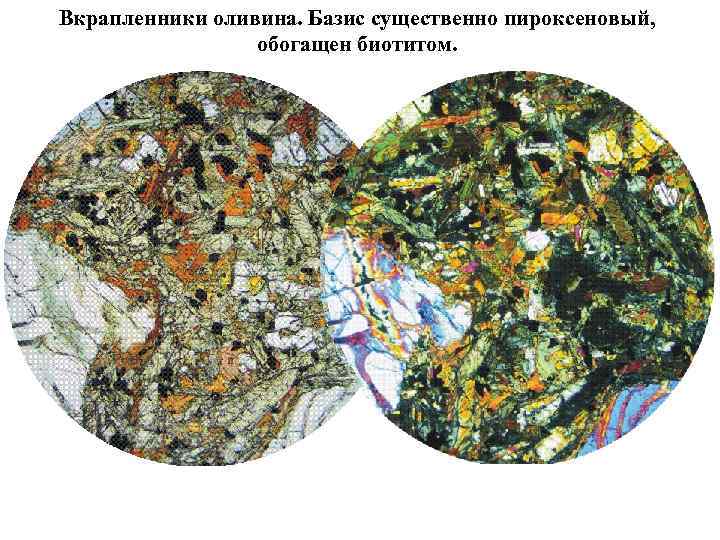 Вкрапленники оливина. Базис существенно пироксеновый, обогащен биотитом. 