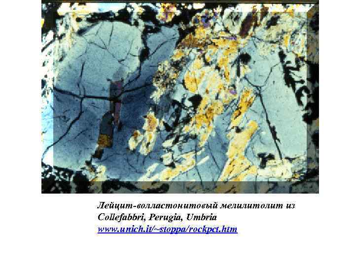 Лейцит-волластонитовый мелилитолит из Collefabbri, Perugia, Umbria www. unich. it/~stoppa/rockpct. htm 