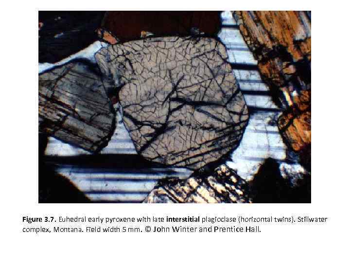 Figure 3. 7. Euhedral early pyroxene with late interstitial plagioclase (horizontal twins). Stillwater complex,