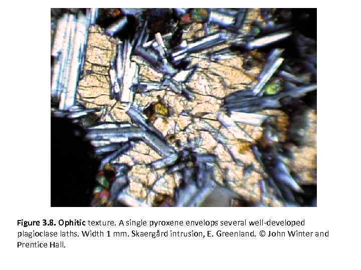 Figure 3. 8. Ophitic texture. A single pyroxene envelops several well-developed plagioclase laths. Width
