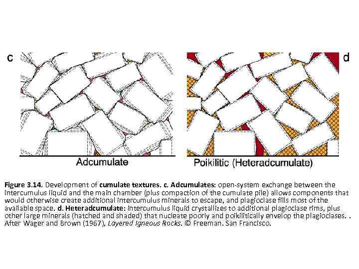 Figure 3. 14. Development of cumulate textures. c. Adcumulates: open-system exchange between the intercumulus