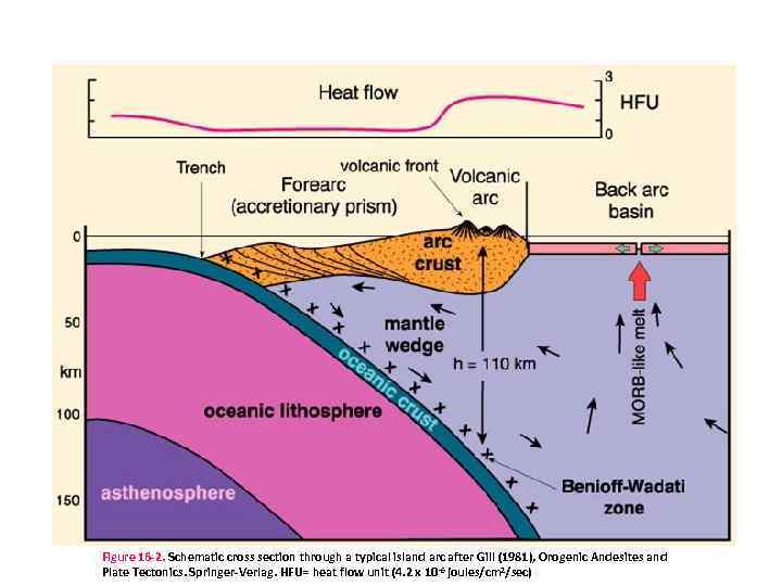 Structure of an Island Arc Figure 16 -2. Schematic cross section through a typical