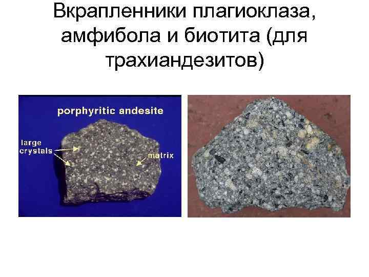 Вкрапленники плагиоклаза, амфибола и биотита (для трахиандезитов) 