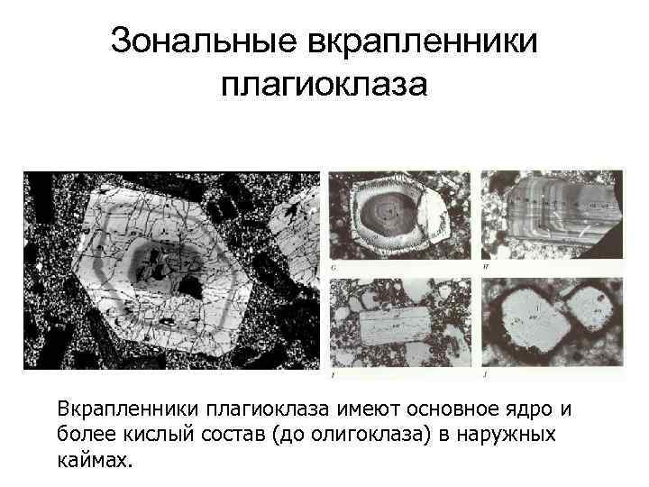 Зональные вкрапленники плагиоклаза Вкрапленники плагиоклаза имеют основное ядро и более кислый состав (до олигоклаза)