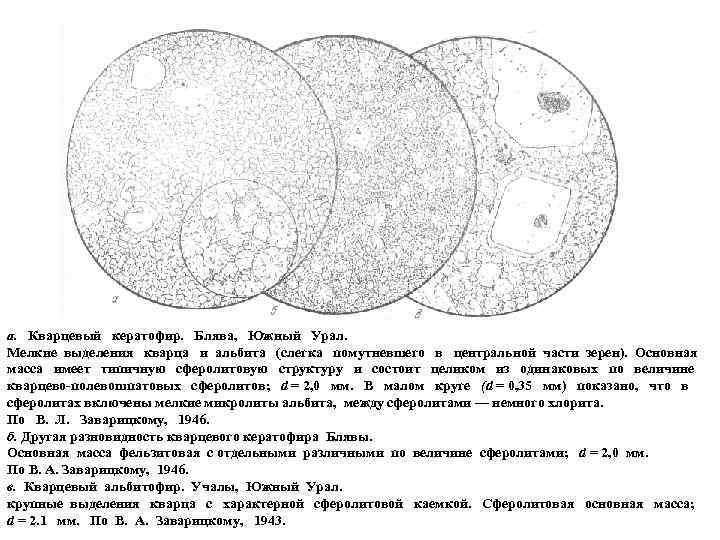 а. Кварцевый кератофир. Блява, Южный Урал. Мелкие выделения кварца и альбита (слегка помутневшего в