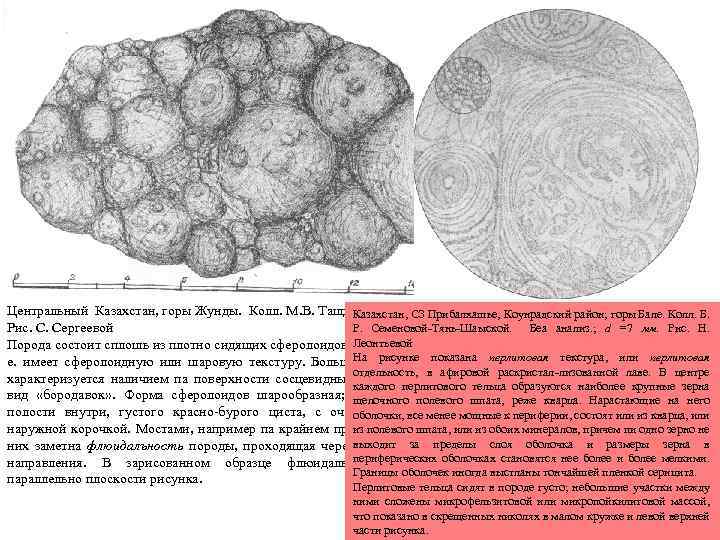 Центральный Казахстан, горы Жунды. Колл. М. В. Тащининой. СЗ Прибалхашье, Коунрадский район; горы Бале.