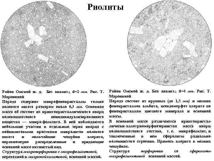 Риолиты Район Омской ж. д. Без анализ. ; d=2 мм. Рис. Т. Марениной Порода