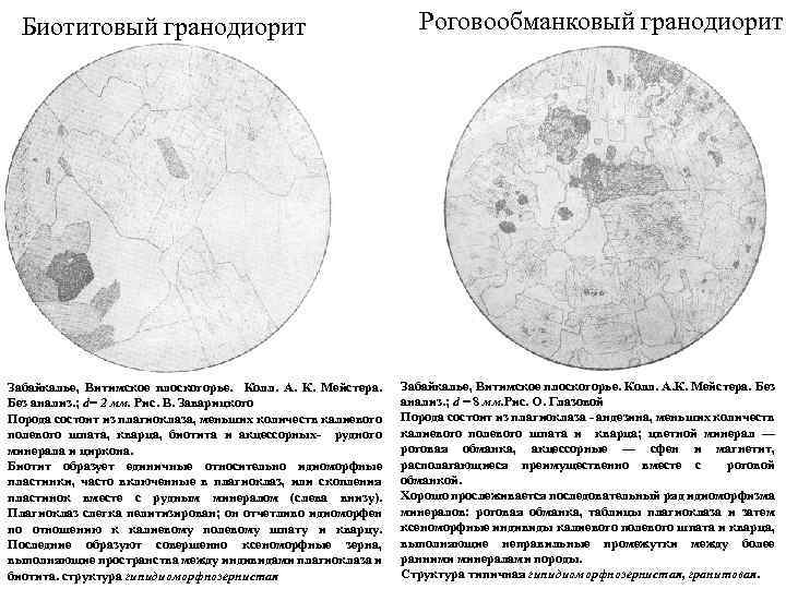 Биотитовый гранодиорит Забайкалье, Витимское плоскогорье. Колл. А. К. Мейстера. Без анализ. ; d= 2