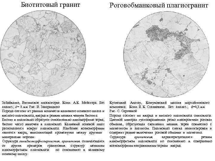 Биотитовый гранит Забайкалье, Витимское плоскогорье. Колл. А. К. Мейстера. Без анализ. ; d= 8