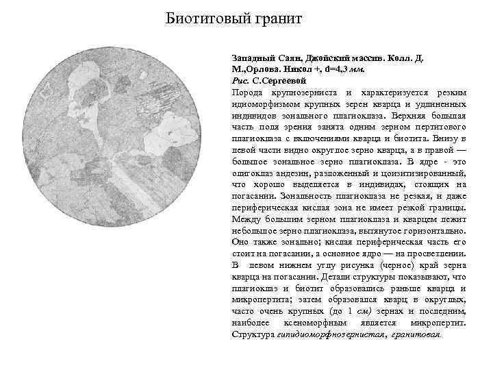 Биотитовый гранит Западный Саян, Джойский массив. Колл. Д. М. , Орлова. Никол +, d=4,