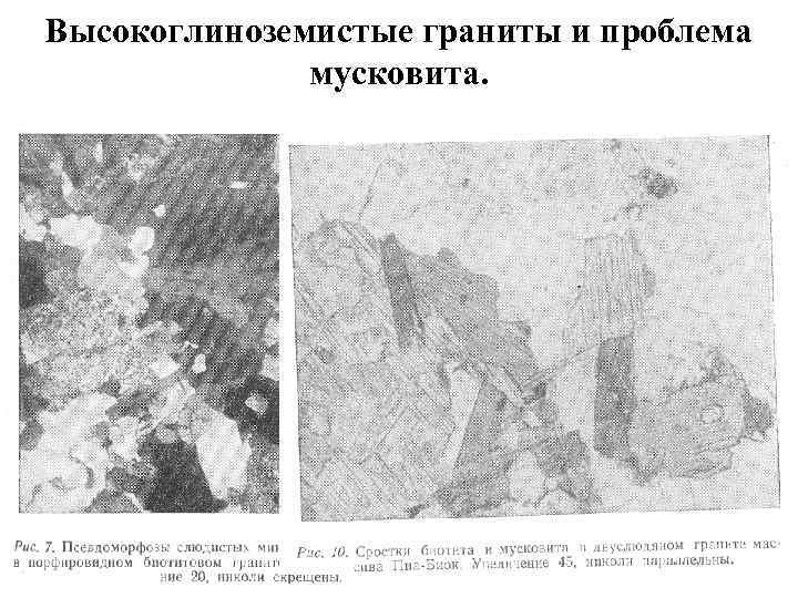 Высокоглиноземистые граниты и проблема мусковита. 