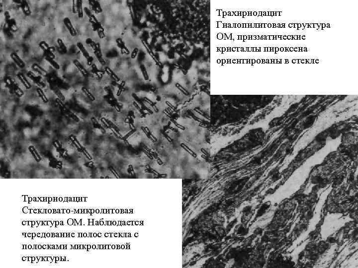 Трахириодацит Гиалопилитовая структура ОМ, призматические кристаллы пироксена ориентированы в стекле Трахириодацит Стекловато микролитовая структура