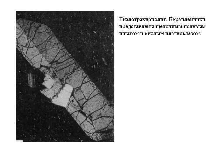 Гиалотрахириолит. Вкрапленники представлены щелочным полевым шпатом и кислым плагиоклазом. 