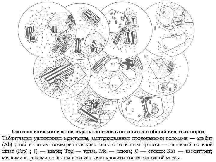 Соотношения минералов-вкрапленников в онгонитах и общий вид этих пород Таблитчатые удлиненные кристаллы, заштрихованные продольными