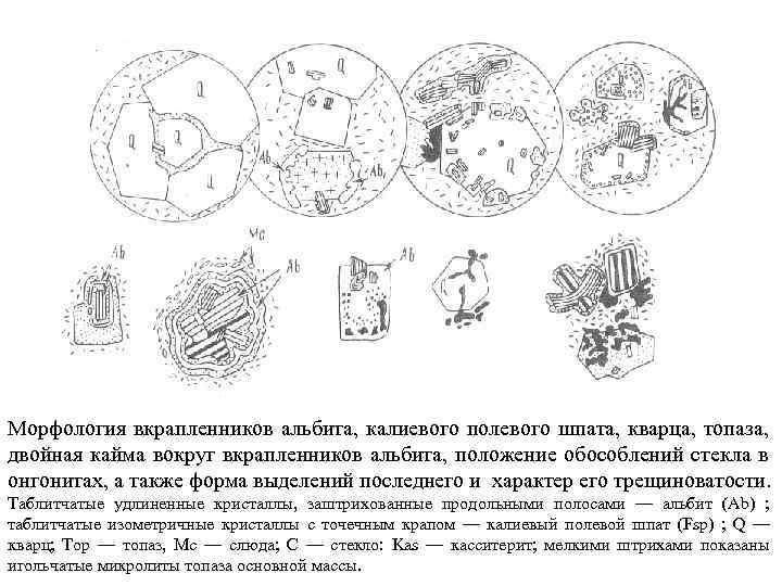 Морфология вкрапленников альбита, калиевого полевого шпата, кварца, топаза, двойная кайма вокруг вкрапленников альбита, положение