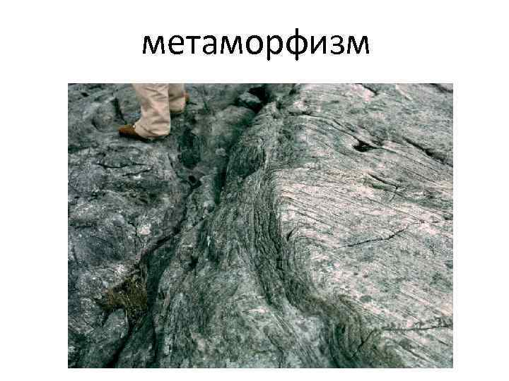 метаморфизм 