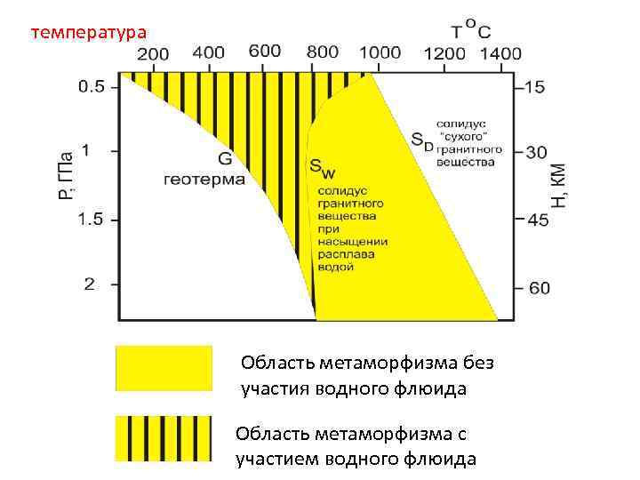 температура Область метаморфизма без участия водного флюида Область метаморфизма с участием водного флюида 