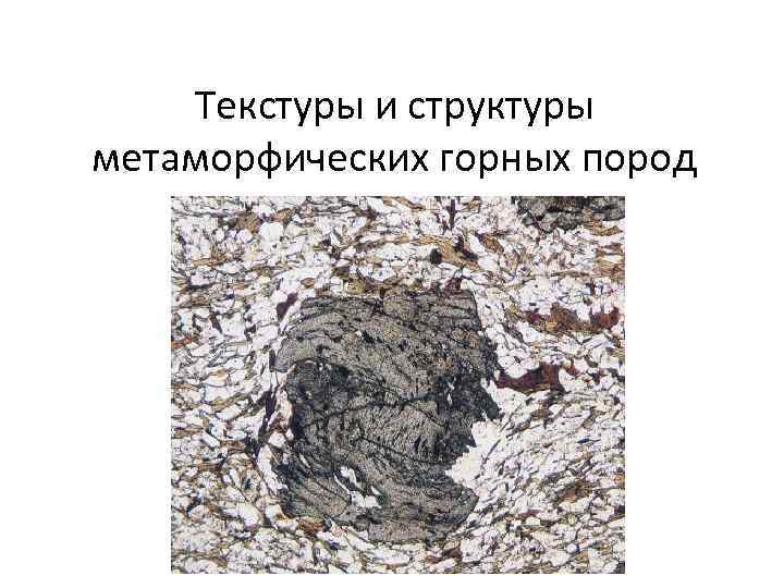 Текстуры и структуры метаморфических горных пород 
