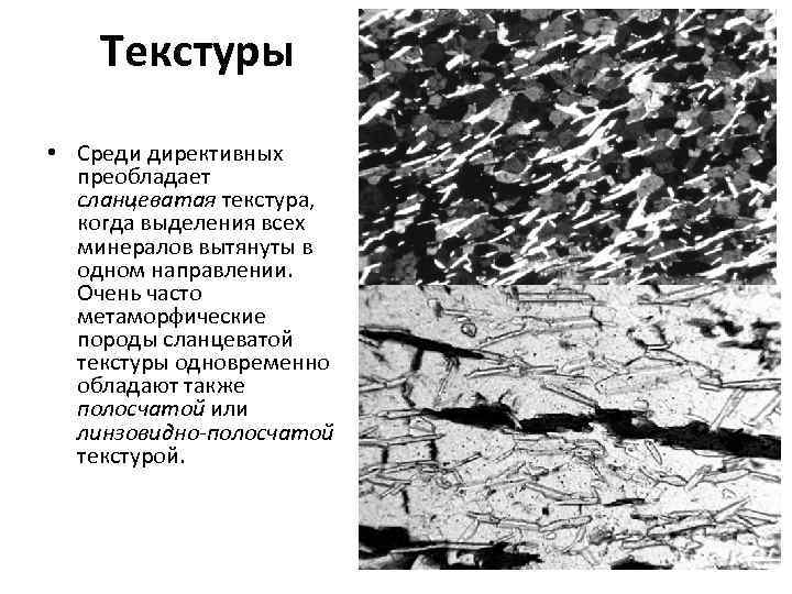 Текстуры • Среди директивных преобладает сланцеватая текстура, когда выделения всех минералов вытянуты в одном