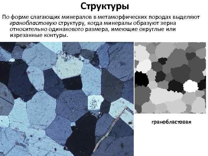 Структуры По форме слагающих минералов в метаморфических породах выделяют гранобластовую структуру, когда минералы образуют