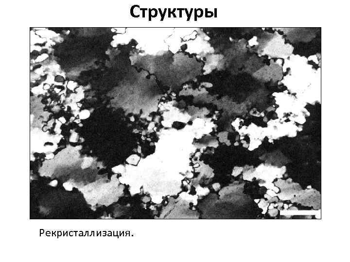 Структуры Рекристаллизация. 