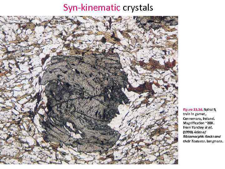 Syn kinematic crystals Figure 23. 38. Spiral Si train in garnet, Connemara, Ireland. Magnification