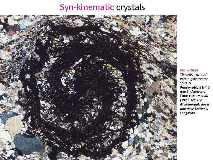 Syn kinematic crystals Figure 23. 38. “Snowball garnet” with highly rotated spiral Si. Porphyroblast