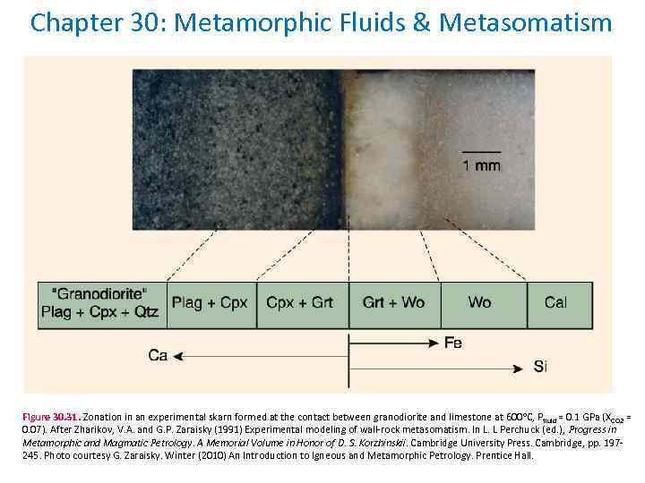 Chapter 30: Metamorphic Fluids & Metasomatism Figure 30. 31. Zonation in an experimental skarn
