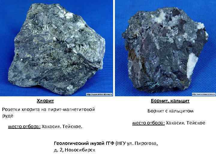 Хлорит Борнит, кальцит Розетки хлорита на пирит магнетитовой руде место отбора: Хакасия. Тейское. Борнит