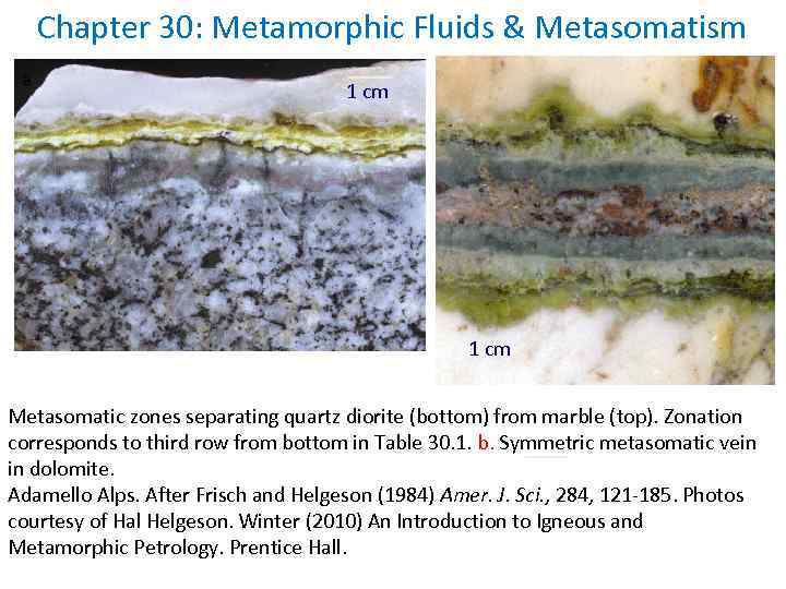 Chapter 30: Metamorphic Fluids & Metasomatism a 1 cm Metasomatic zones separating quartz diorite