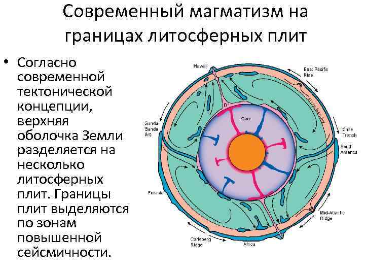 Современный магматизм на границах литосферных плит • Согласно современной тектонической концепции, верхняя оболочка Земли