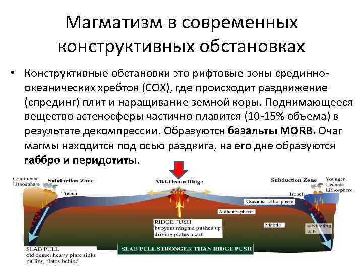 Магматизм в современных конструктивных обстановках • Конструктивные обстановки это рифтовые зоны срединноокеанических хребтов (СОХ),