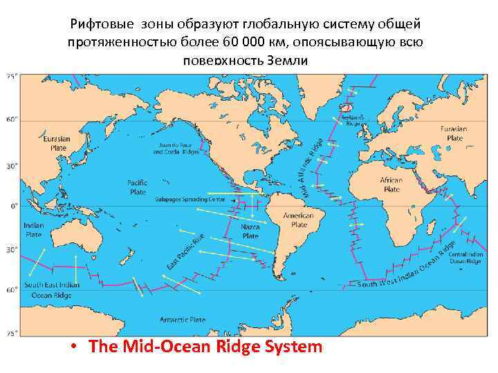 Рифтовые зоны образуют глобальную систему общей протяженностью более 60 000 км, опоясывающую всю поверхность