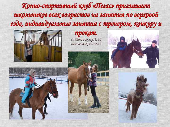 Конно-спортивный клуб «Пегас» приглашает школьников всех возрастов на занятия по верховой езде, индивидуальные занятия