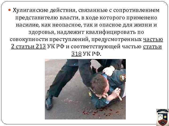  Хулиганские действия, связанные с сопротивлением представителю власти, в ходе которого применено насилие, как