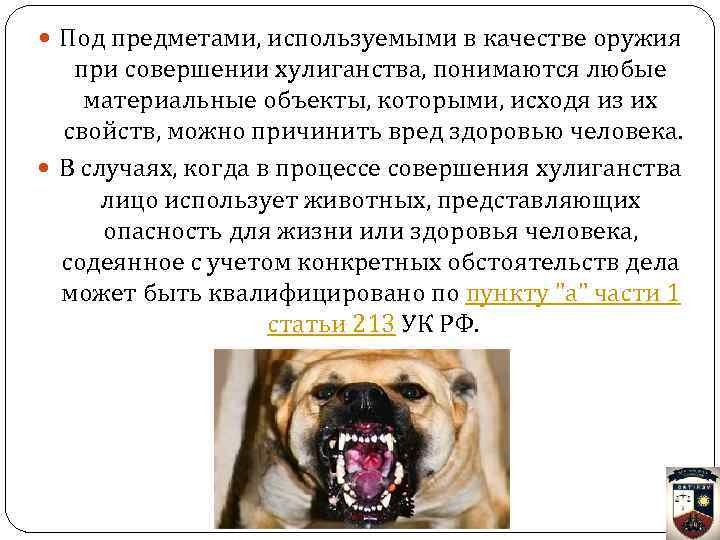 Под предметами, используемыми в качестве оружия при совершении хулиганства, понимаются любые материальные объекты,