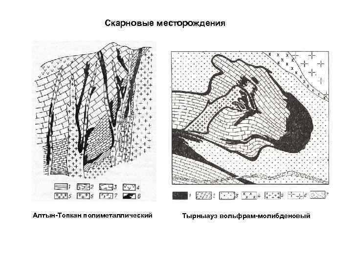 Скарновые месторождения Алтын-Топкан полиметаллический и Тырныауз вольфрам-молибденовый 